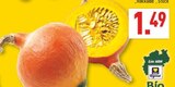 Hokkaido im Angebot bei Marktkauf in Detmold Hokkaido Angebote bei Marktkauf Detmold für 1,49 €