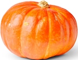 Bio-Hokkaidokürbis im Angebot bei Penny in Lüneburg Bio-Hokkaidokürbis Angebote von Naturgut bei Penny Lüneburg für 1,29 €