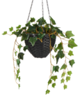 Aktuelles Übertopf Ø20x15 cm Angebot bei Rusta in Essen ab 2,39 €
