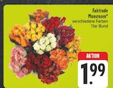 Fairtrade Moosrosen im Angebot bei EDEKA in Altenburg Fairtrade Moosrosen Angebote bei EDEKA Altenburg für 1,99 €
