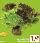 Multicolorsalat im Angebot bei Marktkauf in Bielefeld Multicolorsalat Angebote bei Marktkauf Bielefeld für 1,49 €