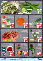 Kürbis im EDEKA Prospekt in Wismar Aktueller EDEKA Prospekt mit Kürbis, "Top Angebote", Seite 5