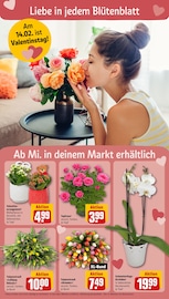 Aktueller REWE Prospekt mit Geschenke, "Dein Markt", Seite 8