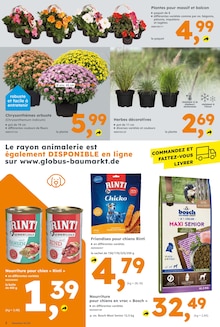 Prospectus Globus-Baumarkt à Zoufftgen, "GLOBUS BAUMARKT Immer eine Idee besser", 10 pages de promos valables du 28/07/2025 au 02/08/2025