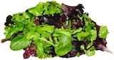 Wildkräuter Salat Angebote von REWE Beste Wahl bei REWE Leipzig für 1,11 €