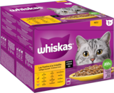 Whiskas im Fressnapf Prospekt Multipack von Whiskas im aktuellen Fressnapf Prospekt für 6,79 €