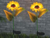 Solar-Sonnenblumen im toom Baumarkt Prospekt Solar-Sonnenblumen von im aktuellen toom Baumarkt Prospekt fĂŒr 9,99 âŹ