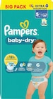 Windeln Baby Dry Gr. 5+ Junior Plus (12-17 kg), Big Pack Angebote von Pampers bei dm-drogerie markt Fulda für 17,45 €