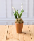 Promo Muguet 2 Griffes à 3,91 € dans le catalogue U Express à Nîmes