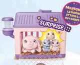 Mama surprise p'tits lapins ou p'tits hamsters - LITTLE LIVE PETS - Hyper U à Reims Mama surprise p'tits lapins ou p'tits hamsters - LITTLE LIVE PETS en promo chez Hyper U Reims à 19,99 €