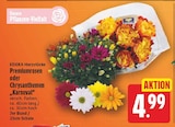 Aktuelle Chrysantheme Angebote bei E center in Berlin Aktuelles Premiumrosen Angebot bei E center in Berlin ab 4,99 €