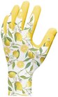 Gartenhandschuhe im Angebot bei REWE in Gotha Gartenhandschuhe Angebote bei REWE Gotha für 2,99 €