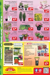 Aktueller Zimmermann Prospekt mit Saatgut, "Aktuelle Angebote", Seite 14