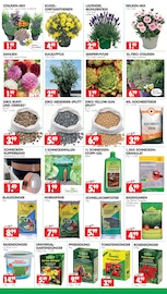 Tierbedarf im Wreesmann Prospekt in Cuxhaven Aktueller Wreesmann Prospekt mit Tierbedarf, "DEIN SAISON- & SONDERPOSTENMARKT!", Seite 3