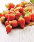 Fraise Gariguette dans le catalogue U Express