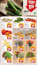 Champignons im REWE Prospekt in Siegen Aktueller REWE Prospekt mit Champignons, "Dein Markt", Seite 9