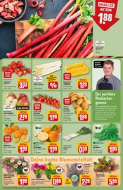 Ähnliche Angebote wie Stiefmütterchen im Prospekt "Dein Markt" auf Seite 9 von REWE in Oldenburg