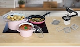 Flachbratpfanne im Angebot bei Netto Marken-Discount in Siegburg Flachbratpfanne Angebote von alpina bei Netto Marken-Discount Siegburg für 4,99 €