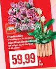 Friedenslilie bei Kaufhaus Stolz im Büsum Prospekt für 59,99 €