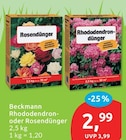 Rhododendron- oder Rosendünger Angebote von Beckmann bei budni Pinneberg für 2,99 €