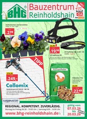Aktueller Bauzentrum Reinholdshain Prospekt mit Stiefmütterchen, "REGIONAL.KOMPETENT.ZUVERLÄSSIG.", Seite 1