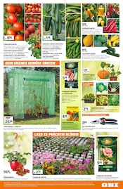 Aktueller OBI Prospekt mit Gewächshaus, "GROSSER GÄRTNERMARKT", Seite 3