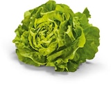 Aktuelles Kopfsalat Angebot bei Netto Marken-Discount in Mannheim ab 0,69 €