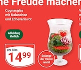 GLOBUS Krefeld Prospekt mit  im Angebot für 14,99 €