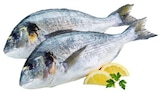 Dorade Royal für 1,49 € bei REWE im Angebot Dorade Royal im aktuellen REWE Prospekt