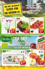 Mixer im Netto Marken-Discount Prospekt in Krefeld Aktueller Netto Marken-Discount Prospekt mit Mixer, "Neueröffnung - 10% auf ALLES", Seite 2
