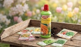 Gartenwelt Sämereien im aktuellen Rossmann Prospekt