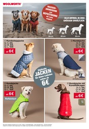 Tierbedarf im Woolworth Prospekt in Marl Aktueller Woolworth Prospekt mit Tierbedarf, "Aktuelle Angebote", Seite 16
