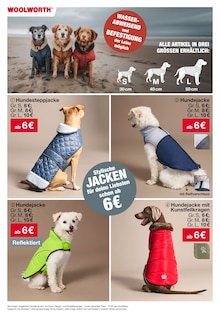 Tierbedarf Angebot im Woolworth Prospekt, gültig von 29.10.2025 bis 03.11.2025 Tierbedarf Angebot im aktuellen Woolworth Prospekt auf Seite 16