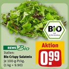 Bio Crispy Salatmix im Angebot bei REWE in Herne Bio Crispy Salatmix Angebote von REWE Bio bei REWE Herne für 0,99 €
