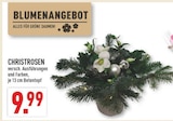 Angebot im Marktkauf Recklinghausen Prospekt Marktkauf Recklinghausen Prospekt mit im Angebot für 9,99 €