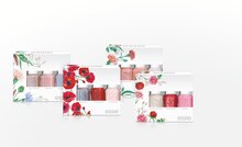 Sommer-Nagellack Set bei Müller in Dortmund Sommer-Nagellack Set im Angebot bei Müller Dortmund für 15,95 €