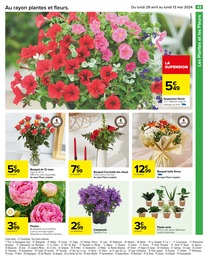 Offre Plante Verte dans le catalogue Carrefour du moment à la page 47