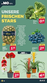 Blaubeeren Angebote im Prospekt "Günstig. Besser. Für Dich." von Netto mit dem Scottie Blaubeeren Angebote im Prospekt "Günstig. Besser. Für Dich." von Netto mit dem Scottie auf Seite 2