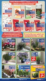 Blumenerde im CENTERSHOP Prospekt in Dortmund Aktueller CENTERSHOP Prospekt mit Blumenerde, "Da geht was.", Seite 9