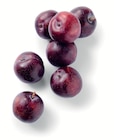 Promo Prune mûre à point à 3,29 € dans le catalogue Supermarchés Match à Kilstett