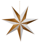 Weihnachtsstern für 4,99 € bei Kaufland im Angebot Weihnachtsstern im aktuellen Kaufland Prospekt