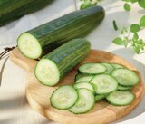 Intermarché Contact Pellegrue - Promo Concombre Promo Concombre à 1,65 € dans le catalogue Intermarché Contact à Pellegrue