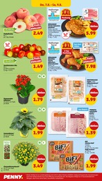 Kalanchoe Angebot im aktuellen Penny Prospekt auf Seite 30