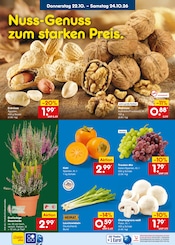 Champignons im Netto Marken-Discount Prospekt in Mönchengladbach Aktueller Netto Marken-Discount Prospekt mit Champignons, "Aktuelle Angebote", Seite 46