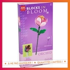 Briques fleur orchidee en promo chez B&M Briques fleur orchidee dans le catalogue B&M