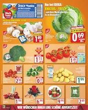 Ähnliche Angebote wie Zitronenbaum im Prospekt "Aktuelle Angebote" auf Seite 2 von EDEKA in Berlin