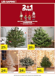 Offre Sapin Nordmann dans le catalogue Carrefour du moment à la page 100