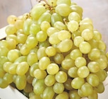 Intermarché Ennetières-en-Weppes - Promo Raisin blanc Promo Raisin blanc à 1,99 € dans le catalogue Intermarché à Ennetières-en-Weppes