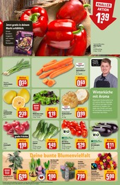 Garten im REWE Prospekt in Bonn Aktueller REWE Prospekt mit Garten, "Dein Markt", Seite 9
