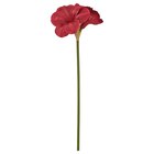 Kunstblume drinnen/draußen Amaryllis/rot im Angebot bei IKEA in Eberswalde Kunstblume drinnen/draußen Amaryllis/rot Angebote von VINTERFINT bei IKEA Eberswalde für 3,49 €